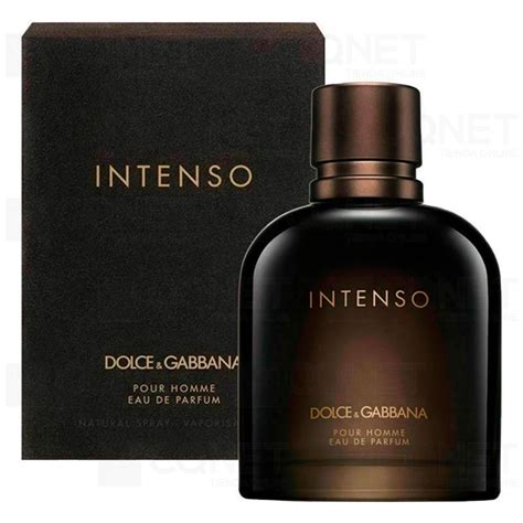 dolce gabbana pour homme 125ml boden|dolce and gabbana intenso notes.